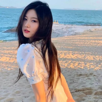不恐龙法官